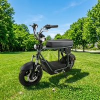 Moto électrique puissante à grande vitesse, autonomie de 50 km, 220 V, moto sportive pour adultes, moto électrique de rue 800 W