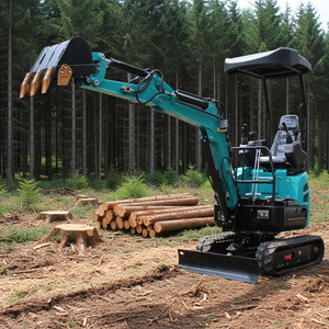 Miniexcavadora Shantui SE20 de 2.0 Toneladas, Excavadora Hidráulica Multifuncional Pequeña para Jardín, Granja y Construcción - Product Image 5