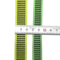 Weaver Sangle en polyester RPET recyclé de taille personnalisée Sangle en caoutchouc antidérapante Collier pour chien en plomb non extensible