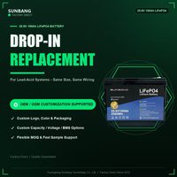 Paket Baterai LFP 12.8V 100Ah, Baterai Surya Siklus Dalam yang Dapat Diisi Ulang untuk Berkemah, Memancing, Daya Luar Ruangan, Penyimpanan Energi Portabel