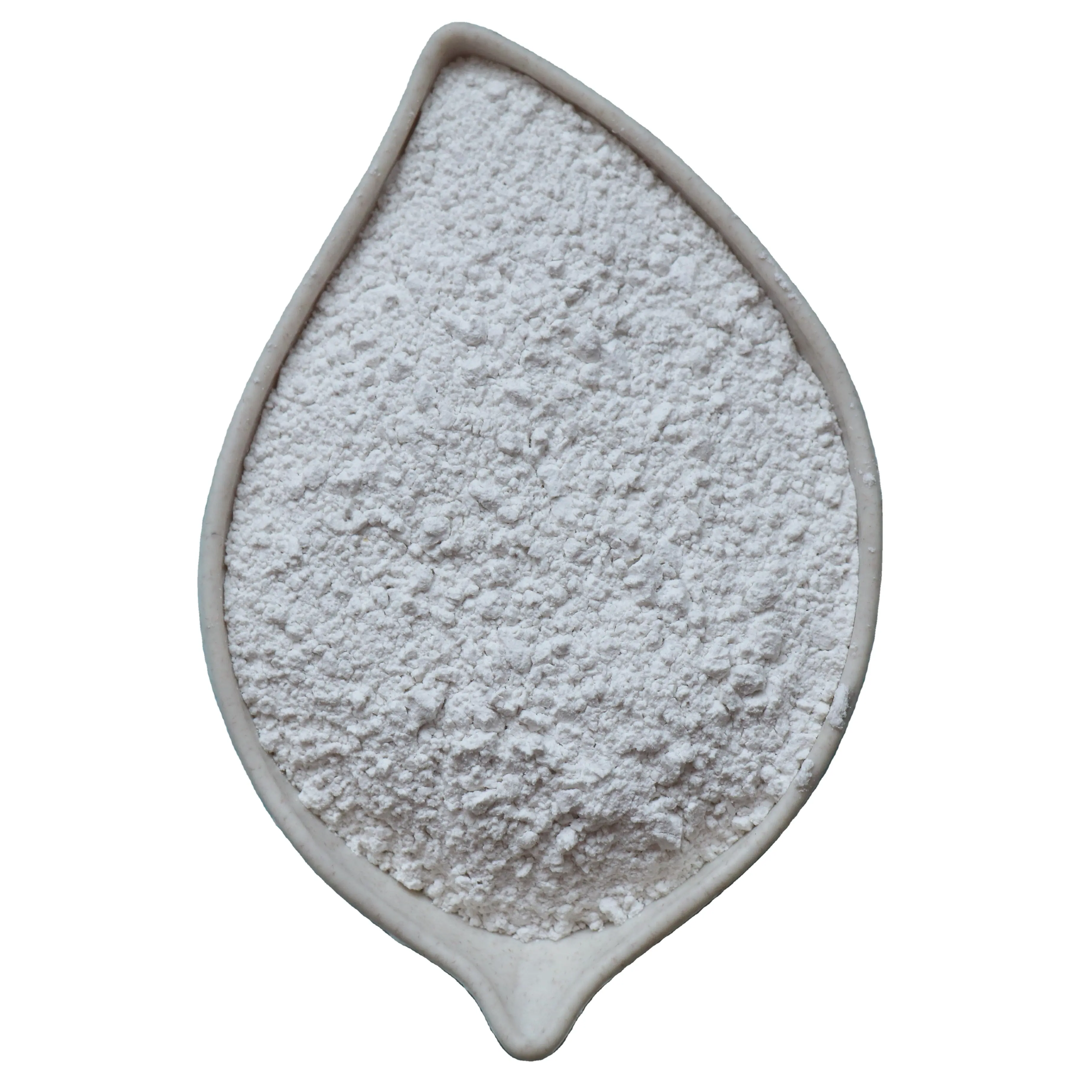 High quality white pigment coating titanium dioxide