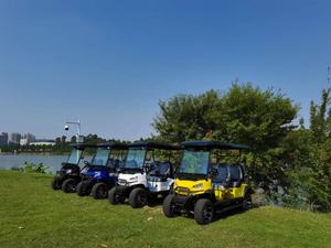 Voiture de golf alimentée par batterie au lithium la plus basse 2 4 personnes pour la <span class=keywords><strong>promotion</strong></span> et la vente directement de l'usine chinoise - Product Image 4