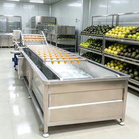 Aanpasbare luchtbelletjes groente- en fruitwasmachine voor restaurants, kantines, centrale keukens en voedselverwerkingsapparatuur