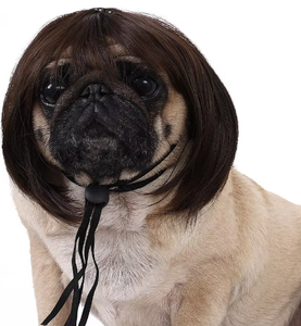 Perruques pour animaux de compagnie pour chiens chats-Perruque de fête de costume de Noël Halloween drôle avec de jolies coiffures droites bouclées - Product Image 3