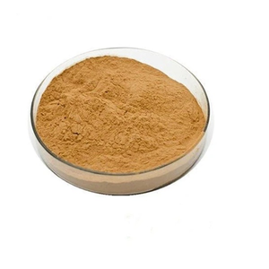 Extracto de Glycyrrhiza Glabra en Polvo Premium, Extracto Natural de Raíz de Regaliz, Ingrediente Botánico Estandarizado, Grado Alimenticio, Polvo Fino - Product Image 1