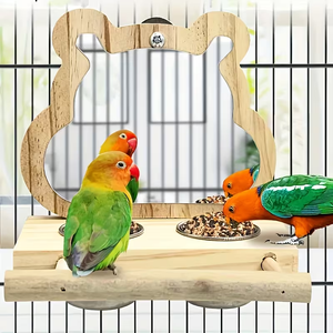 Nichoir en bois non fini à faire soi-même, avec un support pour oiseaux, un miroir et des bols d'alimentation en acier inoxydable, mangeoire à oiseaux en bois intelligente - Product Image 5