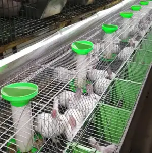 Cage à lapin de 2.05m de large, en chine, livraison gratuite