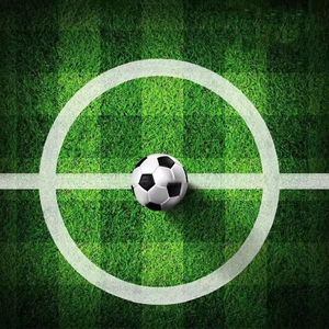 Mini-terrain de football en gazon artificiel de haute qualité, durable, provenant d'un fournisseur chinois de premier plan, pour la construction de mini-terrains de football. - Product Image 4
