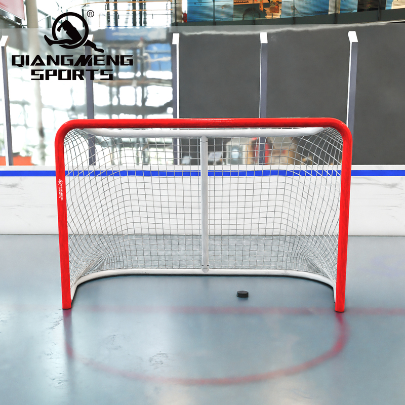 Professional Competition Ice Hockey Goals High