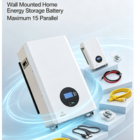 Alternative au Powerwall Tesla, batterie LiFePO4 48V 100Ah 200Ah 5kWh 10kWh, montage mural, ESS domestique, garantie 10 ans
