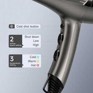 Sèche-cheveux professionnel FirePhoenix F1S ISO9001 2300W avec inspection en 150 étapes, sèche-cheveux de salon de haute qualité - Product Image 2