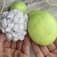 Jouets sensoriels anti-stress TPR non-rising en forme de blocs de citron, pomme de terre et mangoustan, pour soulager le stress, l'ADHD et l'autisme
