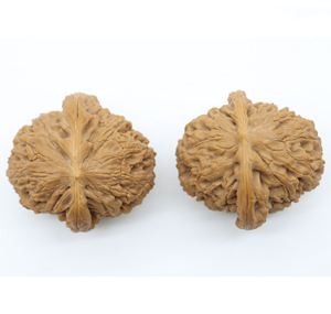Artisanat naturel Wenwan : Noix de Chine ovales au toucher réel, jouets de bureau en bois pour l'exercice de la paume, objets de collection précieux sélectionnés - Product Image 6