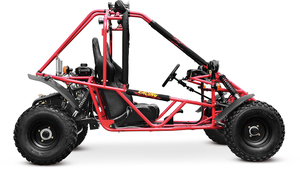 Buggy EU 200C 200cc/150cc à transmission par chaîne et frein à disque - Product Image 5