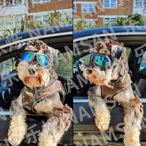 Lunettes de protection pour chien, monture en plastique à bord complet, lentille en polycarbonate, protection UV, étanches, pour usage extérieur - Product Image 1