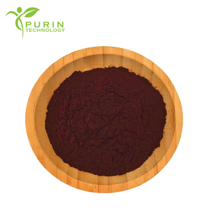 Extrait de <span class=keywords><strong>cerise</strong></span> <span class=keywords><strong>noire</strong></span> naturelle riche en anthocyanes, poudre soluble dans l'eau 10:1 - Product Image 3