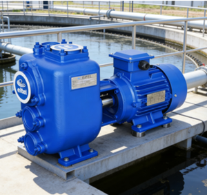 <span class=keywords><strong>EJT</strong></span>-Serie Automatische Selbstansaugende Pumpe für Industrielle Anwendungen - Product Image 5