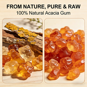 Poudre de Gomme Arabique Biologique Hashab Premium Acacia Sénégal pour Émulsifiant Naturel de Qualité Alimentaire, Service OEM Disponible - Product Image 4