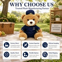 OEM ODM Personnalisé Ours en peluche 28 cm en coton PP, design shaggy, vente en gros d'usine, jouet en peluche de marque pour souvenir