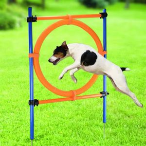 Kit de entrenamiento doméstico de agilidad de perro de plástico profesional, juego de obstáculos, vallas de salto, Aro y poste de tejido, KIT de entrenamiento básico al por mayor - Product Image 2