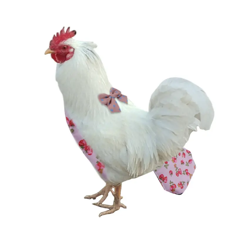 Haustierzubehör Nylondruck waschbare Entendose Hühnergans verstellbare Windelkleidung Bowknot-Design mit elastischem Band