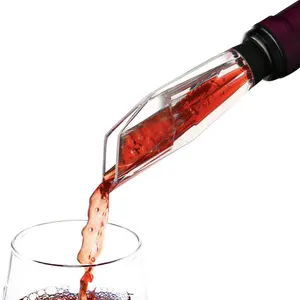 Sıcak Premium 2 in 1 kırmızı şarap akıtıcı havalandırıcı havalandırıcılar Pourer ve Decanter bacalı