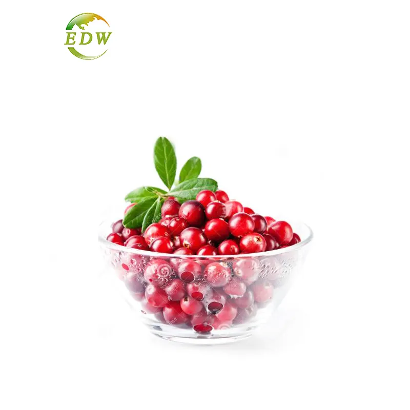 Cranberry-Extrakt Cranberry-Extrakt Pulver Bulk 50% Proantho cyanidine UV