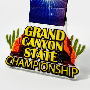 カスタムメダル 2D 3D カンフー ボクシングメダル 賞 スポーツ PVC カスタム テコンドー 空手メダル - Product Image 4