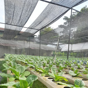 Bâche en maille d'ombre robuste pour patio extérieur noir/tissu d'ombre <span class=keywords><strong>occultant</strong></span> 70 pour plantes - Product Image 4