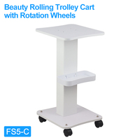 Multifunction Wholesale Mobile Beauty Salon Trolley Cart with Wheels Magnifying Glass Trolley for Salon Beauty