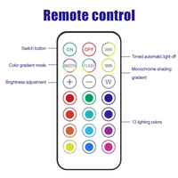 Mini lampe LED RGB à télécommande sans fil, piles AAA, design moderne, utilisation en chambre, intensité réglable, CRI élevé 80, durée de vie 50 000 heures