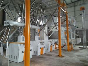 Mini molino de harina personalizado de China, molino de harina de trigo, maquinaria de molienda de maíz con <span class=keywords><strong>precio</strong></span> - Product Image 6