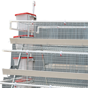 Chicken Coop Cage Farming Equipment Chicken <strong>Feeder</strong> a Type Battery Cage Rooster Cages for Laying <strong>Hens</strong> 2000-5000 <strong>Birds</strong> Capacity - Product Image 1