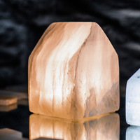 Lampe de table de Noël en gypse naturel écologique, polie à la main, translucide, en albâtre, lumière décorative, toucher réel, Feng Shui