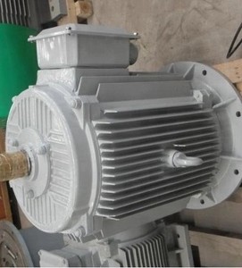 Generador Eólico de Alta Eficiencia de 100 rpm y 5 kW, Generador de Eje Vertical, Generador de Imán Permanente - Product Image 4
