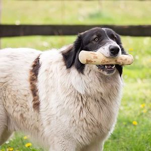 WINVN 100% jouets à mâcher <span class=keywords><strong>en</strong></span> bois de café naturel pour chiens bâtons à mâcher pour animaux de compagnie indestructibles bonnes dents Offre Spéciale un usage quotidien cadeau de noël - Product Image 1