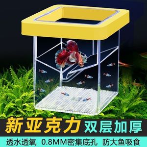 Incubateur carré pour poissons, boîte d'isolement flottante rectangulaire en plastique jaune et bleu pour l'élevage en aquarium - Product Image 5