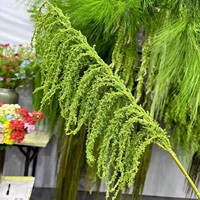 Nouvelles fleurs artificielles en soie, suspendues, en forme de riz, vertes douces, en cascade, larmes d'amoureux, herbe barbe de dragon, vente en gros, pour la décoration