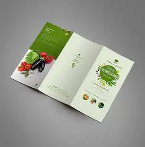 2022 Afdrukken Brochure En Flyer, Folder, Boekje Afdrukken In China