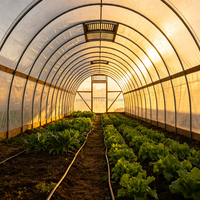 Serre agricole multi-chapelles à faible coût en film PE, structure en acier galvanisé, durée de vie de plus de 15 ans, système de ventilation