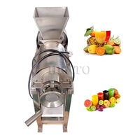 Machine à jus haute productivité / Extracteur de jus de gingembre / Machine d'extraction de jus de fruits