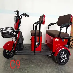 Tricycles électriques de fret C9 de 800watts Vente en gros en usine de haute qualité Grand stock Tricycles électriques de fret