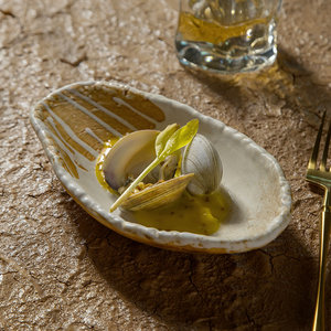 بيع بالجملة من المصنع أطباق قوارب خزفية غير منتظمة يابانية وسوشي بورسلين لمطعم الفندق - Product Image 1