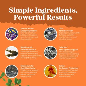 Suplemento de Apoyo para la Tiroides Energy Focus, Cápsulas con Selenio, Ashwagandha, Yodo, Zinc y Complejo de Vitamina B12 - Product Image 4