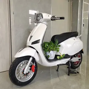 最新龟王系列60V20AH铅酸电池800瓦成人电动助力车escooter 12英寸大轮摩托车