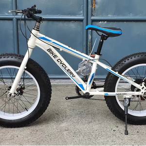 Bicicleta de Montaña con Llantas Anchas de 20 Pulgadas, 21 Velocidades, Frenos de Disco Dobles, Horquilla de Suspensión, Llantas Anchas, Unisex, para Adultos, Bicicleta para Nieve - Product Image 4