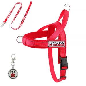 Nuevo Arnés de Perro de Apoyo <span class=keywords><strong>Emocional</strong></span> (ESA) y Perro de Servicio, Ajuste Rápido, con Parches Personalizados Extraíbles - Product Image 2