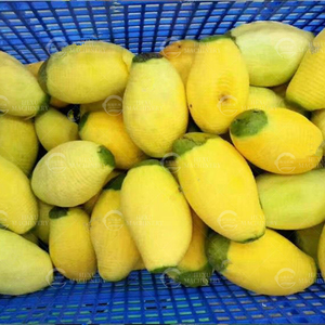 Machine à éplucher et à couper les mangues électriques, machine à retirer les noyaux <span class=keywords><strong>de</strong></span> mangue, à vendre, coupe-légumes multifonctionnel - Product Image 2
