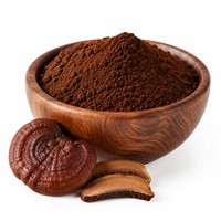 Extrait de champignon Reishi pur naturel en poudre, 30% de polysaccharides, double extraction, qualité alimentaire, complément alimentaire