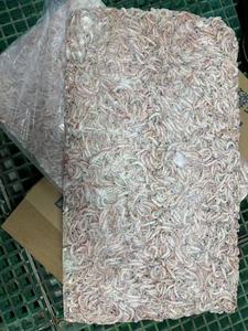 Krill <span class=keywords><strong>antarctique</strong></span> comestible congelé de haute qualité et à bon <span class=keywords><strong>prix</strong></span> pour la vente en gros de krill <span class=keywords><strong>antarctique</strong></span> comestible - Product Image 2